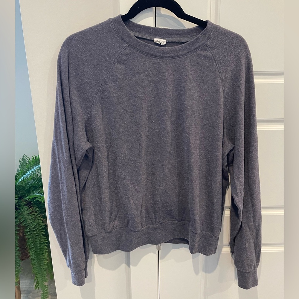 Wilfred Blue- Gray Sweatshirt